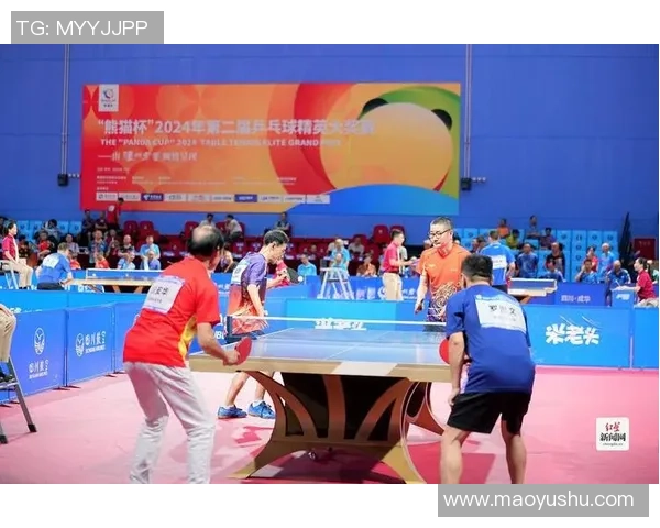 成都乒乓球队精英赛精彩配合分析与表现点评