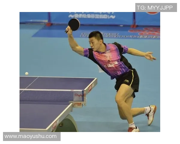 赵娜独家分享网球心得与技巧助你提升球技的秘密武器