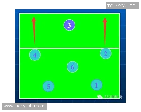 深入分析西安排球队的进攻策略与战术特点